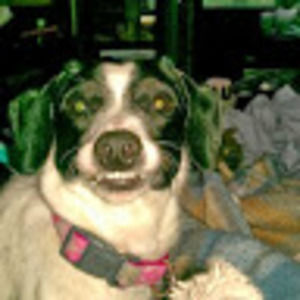 Meet your Posher, Sandi